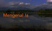 Mengenal Jalalive 2 APK: Fitur, Keunggulan, dan Cara Menggunakannya